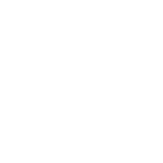 Festival Novas Invasões